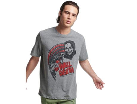 Camiseta para Hombre SUPERDRY (L - Gris)