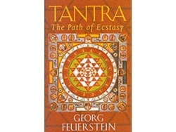 Libro Tantra The Path of Ecstacy de Georg Feuerstein (Inglés)