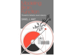 Libro de Daniel J. Amit ( Inglés )