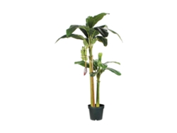 Planta Decorativa MICA DECORATIONS (115 x 180 cm)