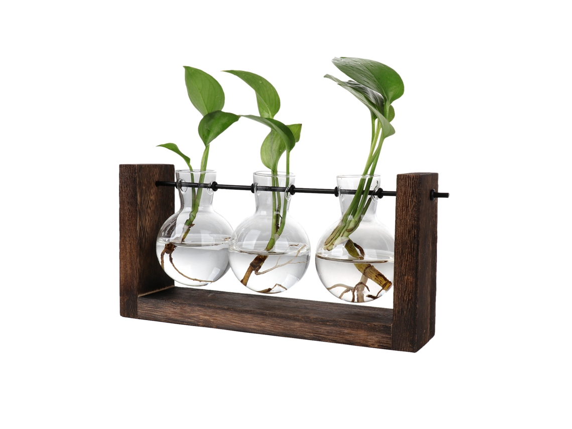 2026-vaso Hidropónico De Vidrio Con Base De Madera Para Plantas Y Terrarios Decorativos Simples