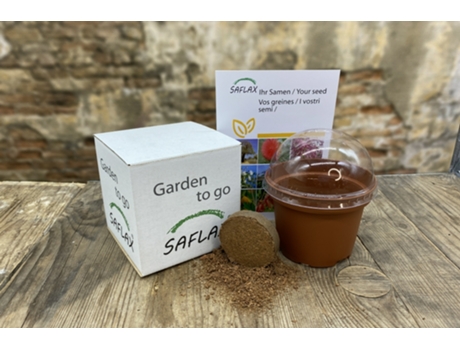 SAFLAX Garden to go Pamplina 1000 semillas Con maceta, tapa climática y sustrato de cultivo Stellaria media