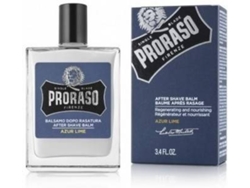 After Shave PRORASO (100 ml)