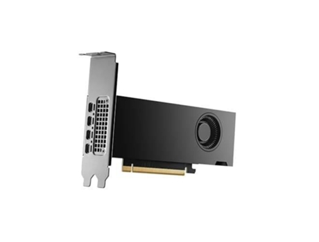 Tarjeta Gráfica Nvidia PNY Quadro Rtx 2000 Ada Generación 16Gb