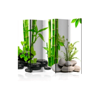 Biombo Verde
