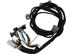 Arnés De Conversión Dac061 Para K20, K24, K-swap Eg Y Dc2