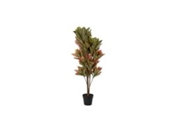 Planta Pe Croton Verde 50x50x140cm