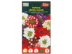Phyto Flores Semillas Verbena Híbridas Variadas 00606 Caja 10 Unidades FPLUS