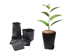 100 Bolsas De Plástico Grueso Para Plántulas Con Orificios Transpirables De 10x20 Cm Para Jardín Y Plantación.
