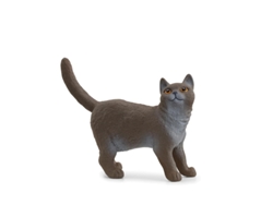 Figura Gato Britanico de Pelo Corto SCHLEICH