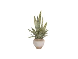 Planta Pe Magnesia Macetero 32x32x30 60x60x100cm