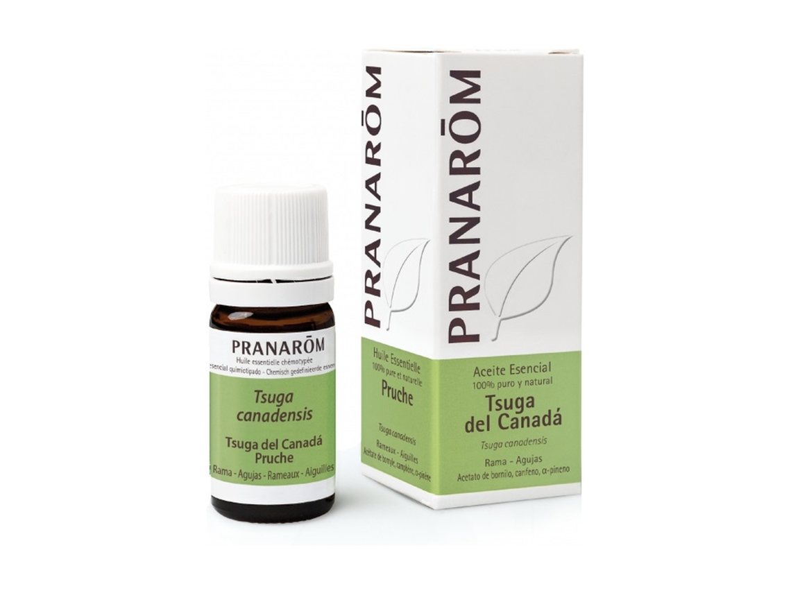 Aceite Corporal PRANAROM Aceite Esencial De Cicuta Do Canadá en Ramos (5 ml)