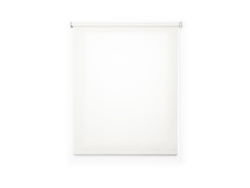 Estor Enrollable Translúcido STORESDECO (250 x 100 cm - Blanco)
