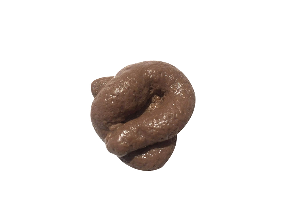 20du26 Juguete de caca artificial realista, broma, regalo de TPR, truco para amigos