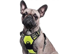 2026-arnés Para Perros Grande Ajustable Sin Tirar Con Cojín Y Reflectantes Para Entrenamiento O Paseo