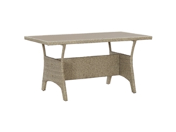 Mesa de comedor VIDAXL Gris Poli Ratán (120x70x66 cm)