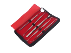 Kit Profesional De Limpieza Dental De 5 Piezas Con Acero Inoxidable Y Bolsa De Almacenamiento.