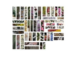 100 Pegatinas Decorativas Autoadhesivas Con Diseño De Flores Para Álbumes De Recortes, Ideales Para La Vida Diaria Y Para Diarios O Cuadernos.