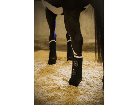 Protección de trAñosporte frontal para caballos ZANDONA XL