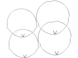 Juego De 4 Clips De Fijación Metálicos Para Focos Empotrables Mr111 Con Resorte Y Anillos.
