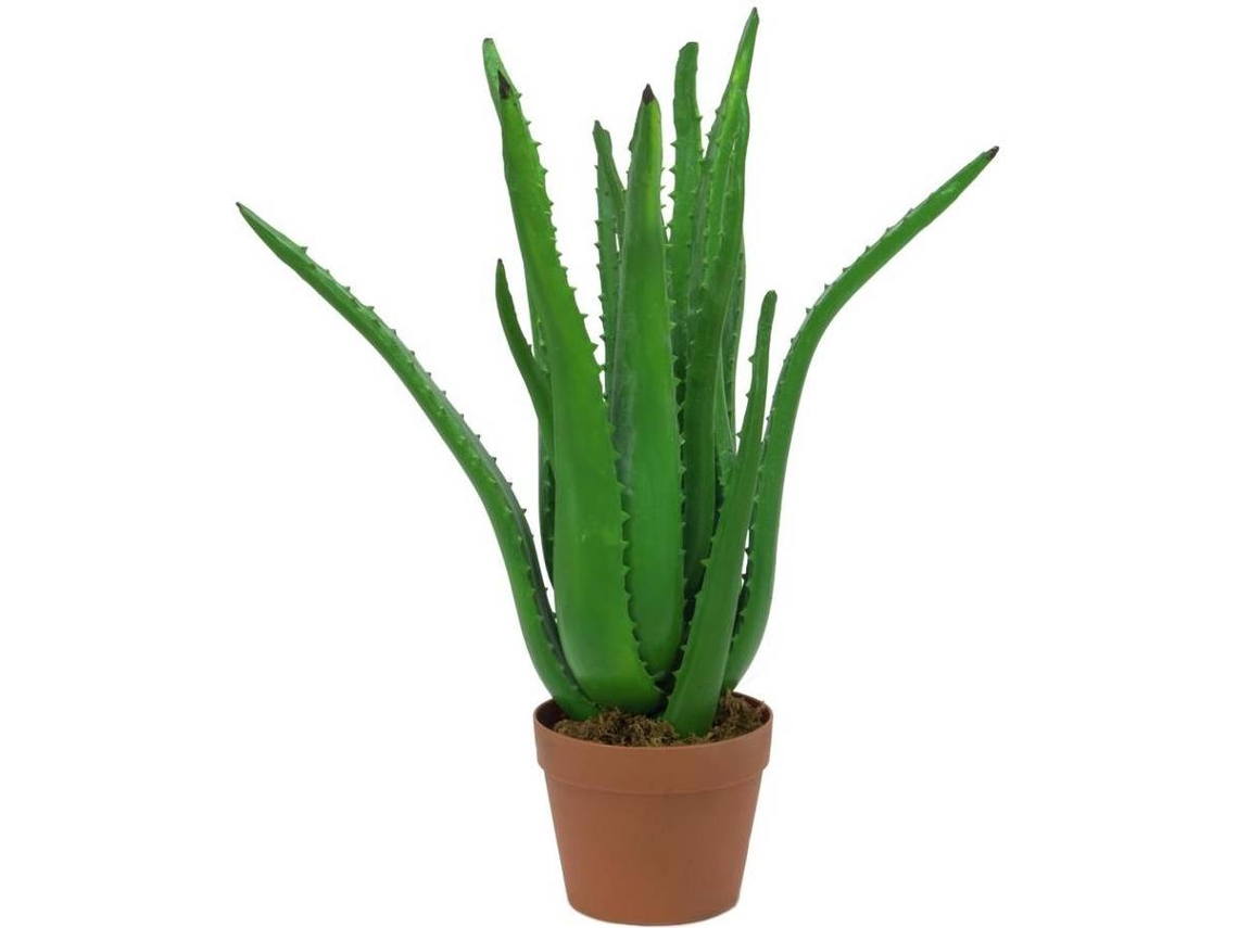 Planta Artificial EUROPALMS Aloe Vera Plant (Verde - 63 cm)