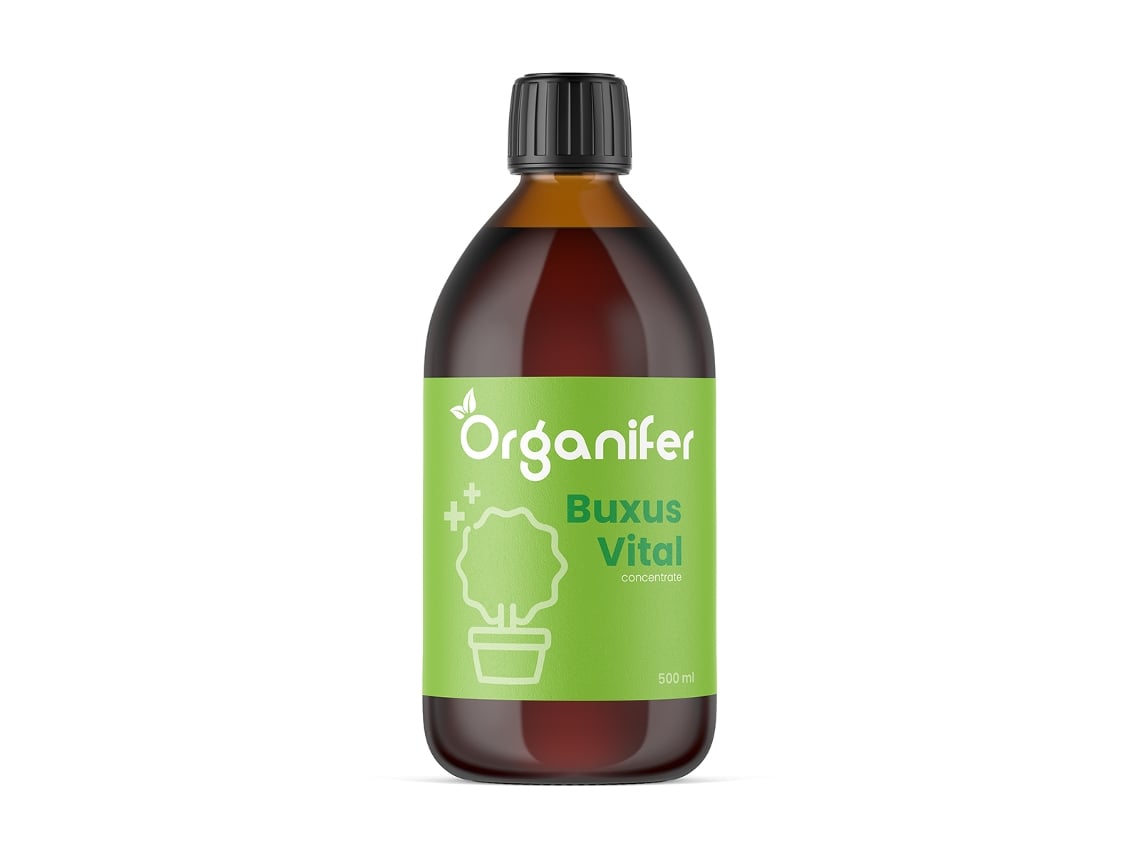 Buxus Vital 500 ml - Concentrado para 50 metros de seto de boj - Organifer