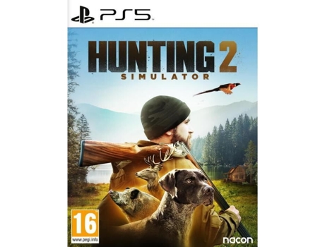 Simulador de Caza 2