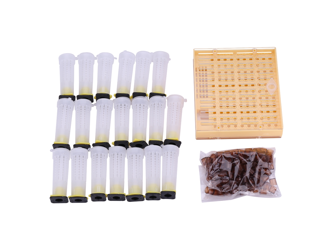 Kit De Cría De Abejas Reinas Con Caja, Vasos Y Tapas, Herramienta De Apicultura, Plástico.