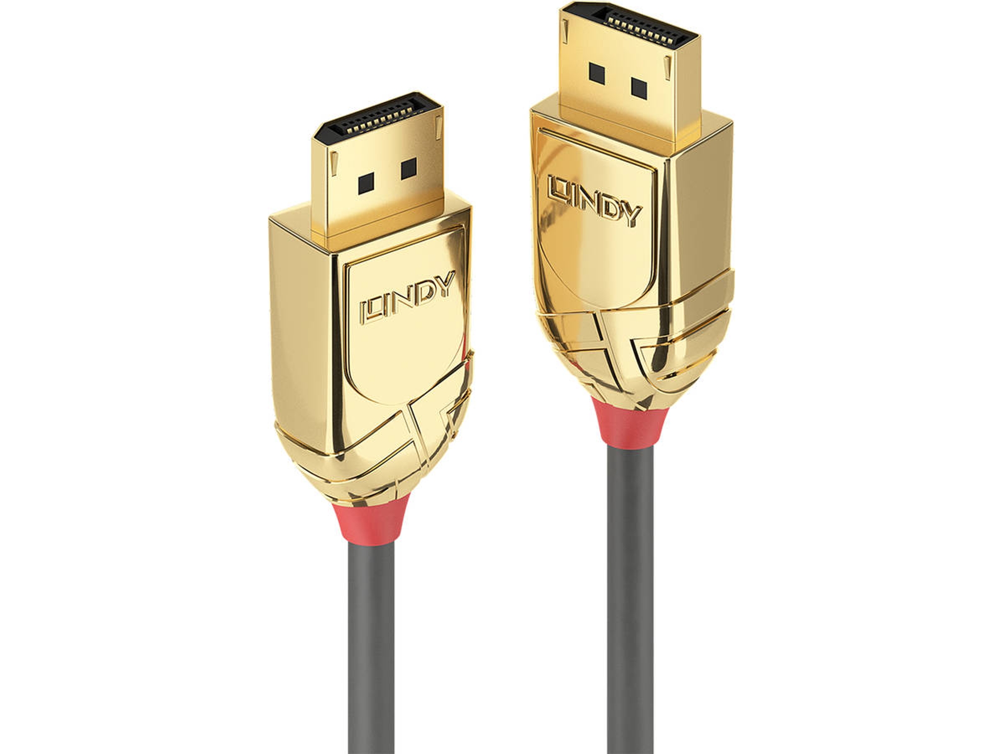 Cable de Datos LINDY (DisplayPort)