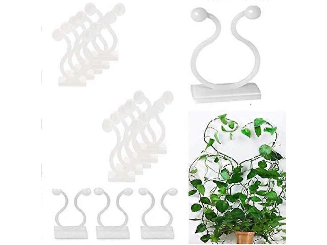 50 Clip Plantas Autoadhesivos Para Trepar Paredes Organizar Vides Cables Plásticos Duraderos Fácil Instalación Verde