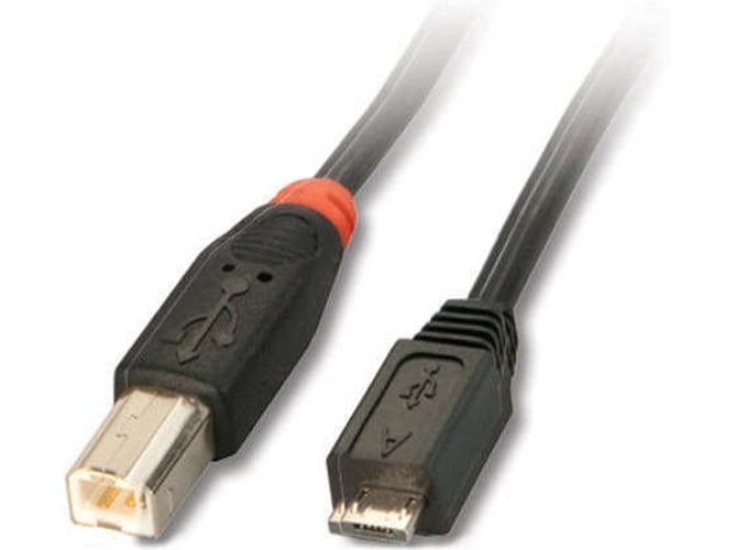 Cable USB LINDY (USB - 2 m - Negro)