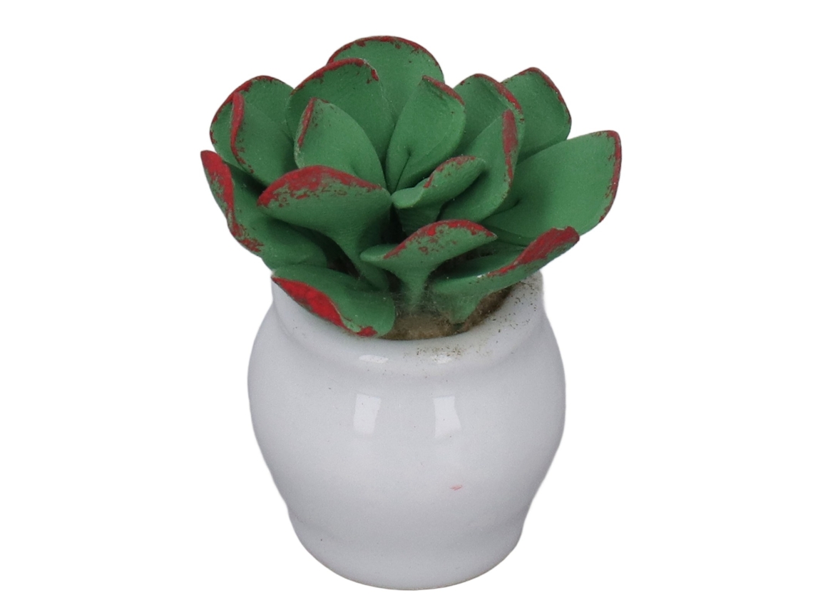 Rebe-plantas En Maceta Miniatura Para Casa De Muñecas 3cm Decoración Diy Portátiles Juguete Ornamentos