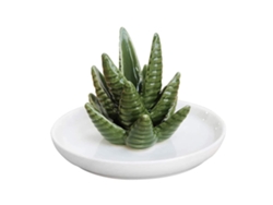 Porta anillos de cerámica, regalo de joyería de aloe vera para mujeres