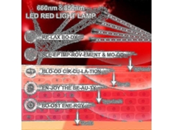 Dispositivo de terapia de luz roja, terapia de luz infrarroja con soporte, compatible con terapia de luz roja profunda