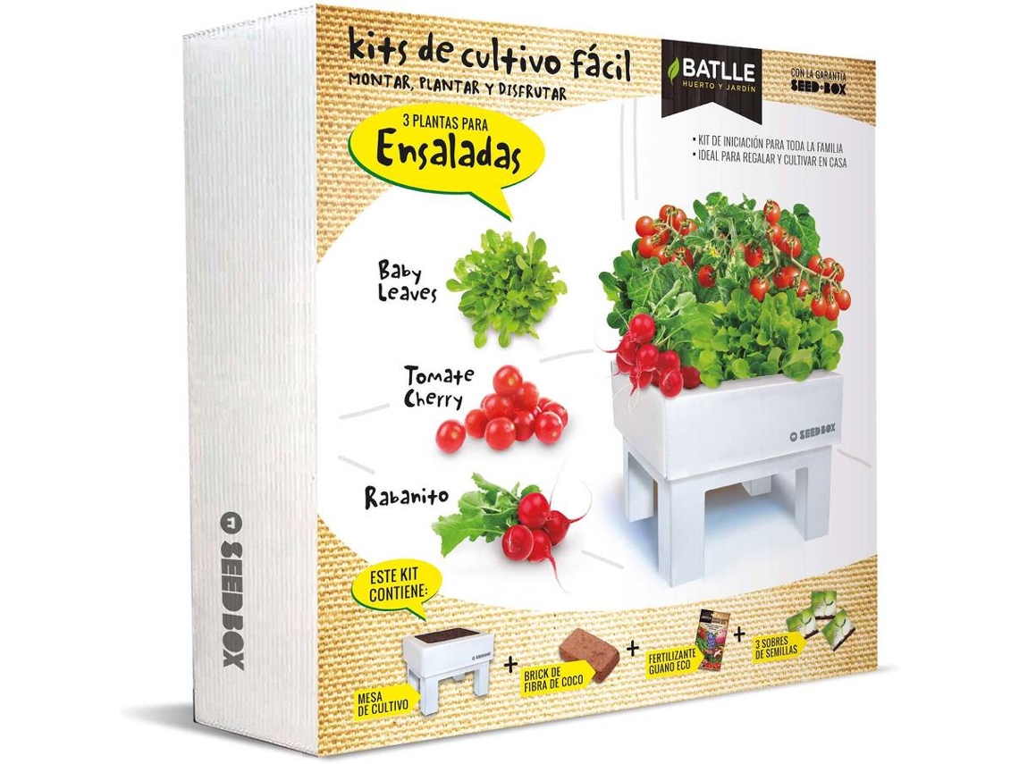 Ensaladas en cajas de semillas de la Batalla del Jardín Urbano