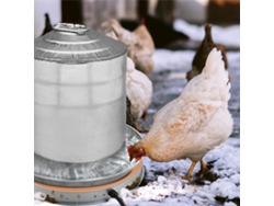 Calentador de agua para pollos, termostato de 65 W, cable de 2,22 m (7,3 pies).