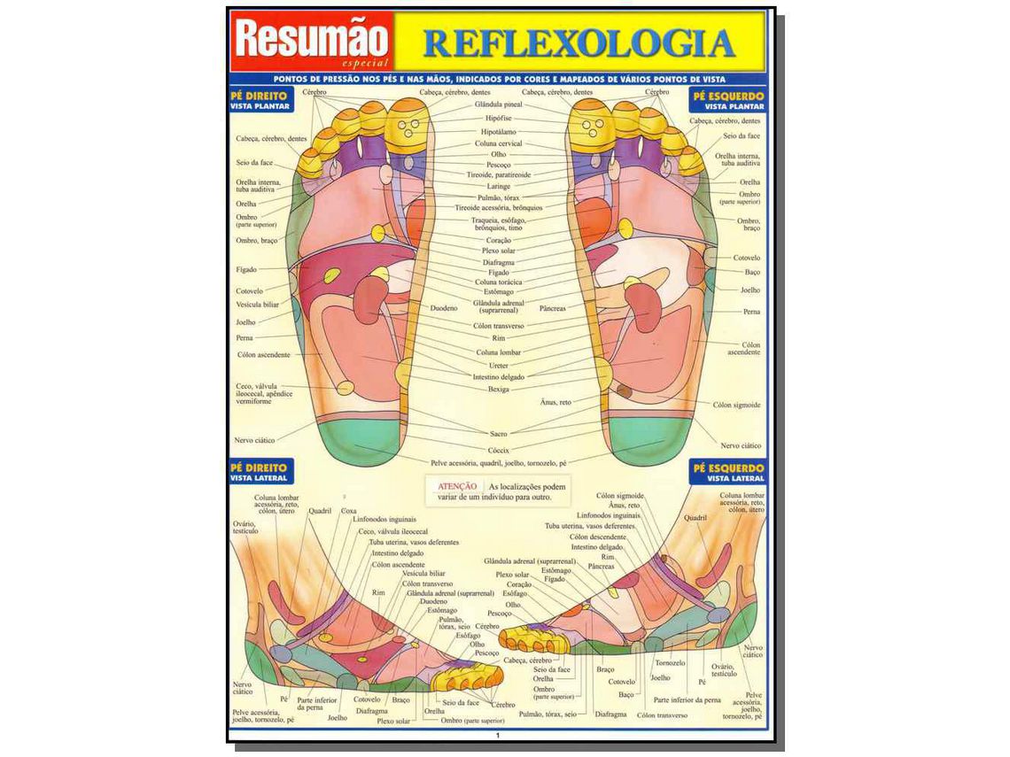Libro Resumao Especial Reflexologia de Perez e Vincent (Portugués)
