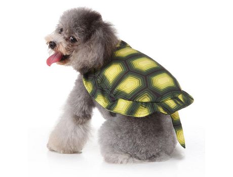 Ropa Para Mascotas Ropa De Vestir Para Mascotas Ropa De Vestir Para Mascotas De Imitación De Tortuga ELKUAIE s