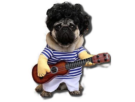 Divertido Disfraz De Halloween Disfraz De Guitarra Para Perro Mascota ELKUAIE xl