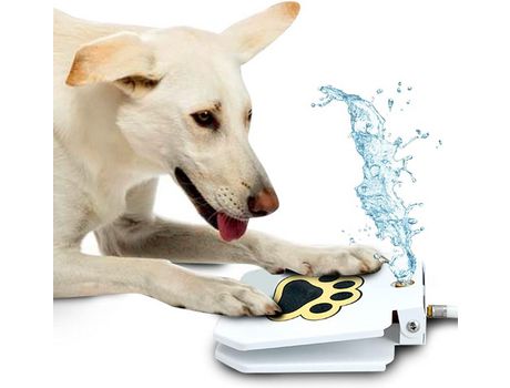 Bebedero Automático para Mascotas con Pedal, Blanco