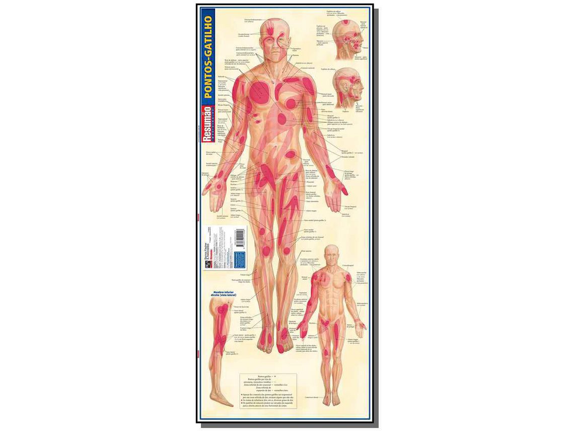 Libro Resumao Medicina Pontos Gatilho de Barros Fischer E Associados (Portugués)