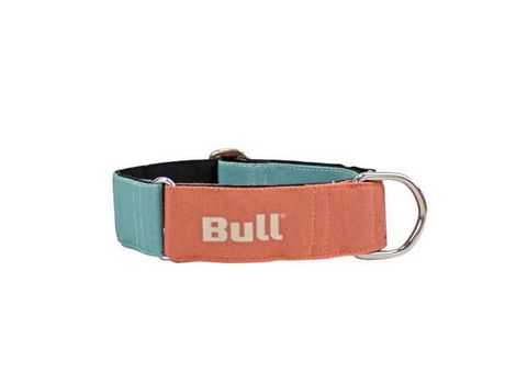 Collar Galgo Naranja-Turquesa 30-50 cm BULL