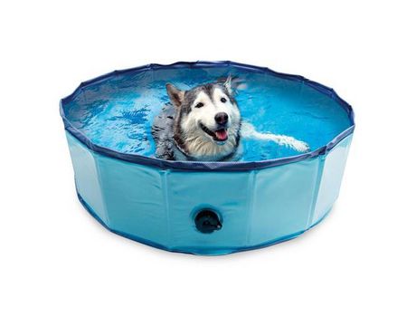 Piscina Para Perros 80X20 Cm ARQUIVET
