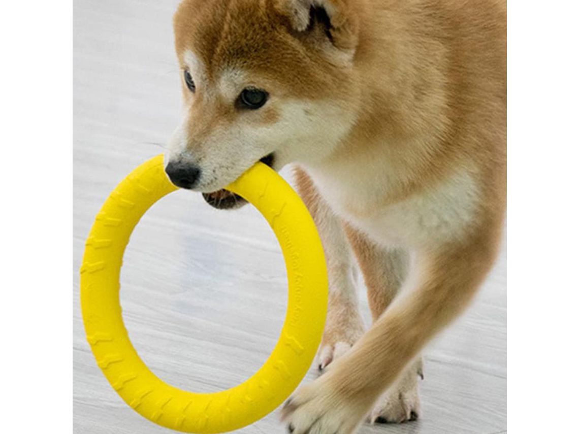 Juguetes duraderos para perros cheap