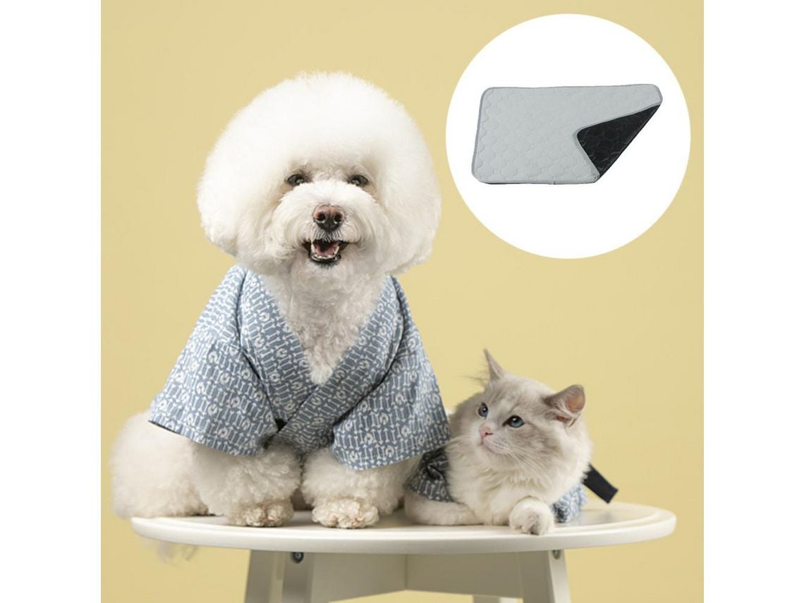 Antisdeslizante para almohadillas de los perros