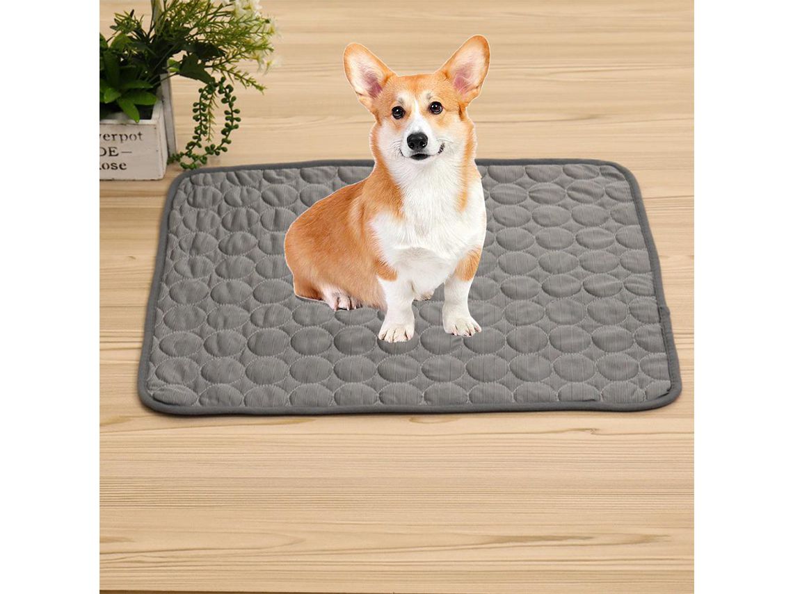 Cama helada para 2025 perros
