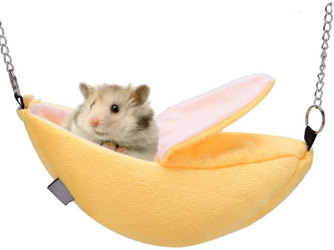 Cama chinchilla 2025