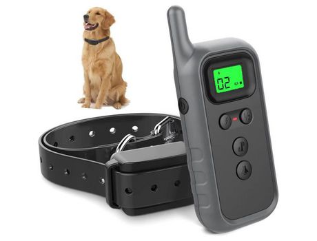 Collar de entrenamiento para perros Collar eléctrico para perros con Control remoto de 300M y 3 modos de vibración y pitido para perros pequeños y ...