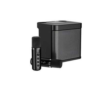 Juego de altavoces Bluetooth de Karaoke de lujo con micrófono inalámbrico y altavoz para el hogar