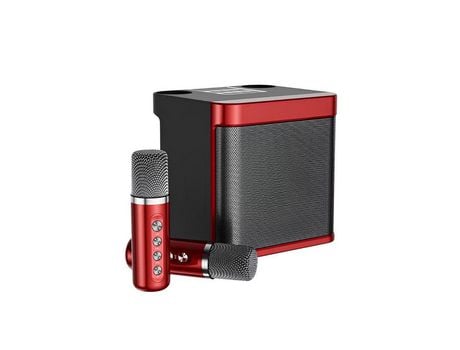 Juego de altavoces Bluetooth de Karaoke de lujo con micrófono inalámbrico y altavoz para el hogar